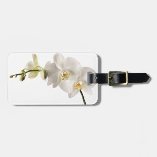 Etiqueta Para Maletas Espacio en blanco floral del Dendrobium de la
