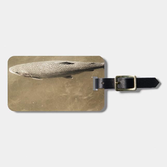 Etiqueta Para Maletas Espectros (Frente Horizontal)