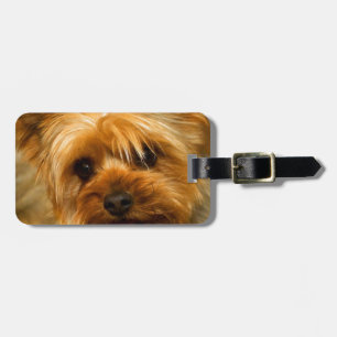 Etiqueta Para Maletas Espera para el perro de Yorkie Terrier del amor de