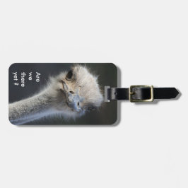 Etiqueta Para Maletas ¿Estamos allí todavía?