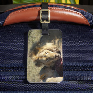 Etiqueta Para Maletas Estrella africana de leones