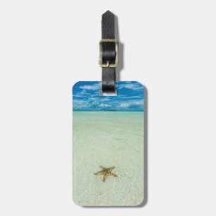 Etiqueta Para Maletas Estrella de mar en aguas poco profundas, Palau