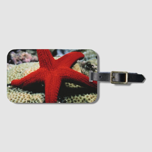 Etiqueta Para Maletas Estrella| Mar Rojo (Anverso horizontal)