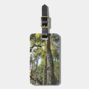 Etiqueta Para Maletas Eucaliptus Gum Trees de la selva tropical australi