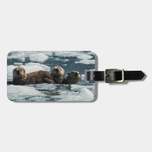 Etiqueta Para Maletas Familia de la nutria de mar (Frente Horizontal)