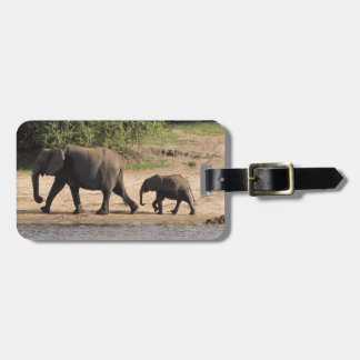 Etiqueta Para Maletas Familia del elefante