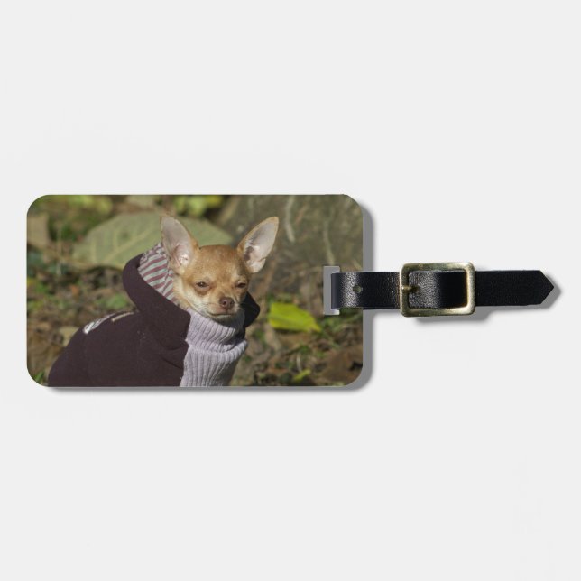 Etiqueta Para Maletas Fancy Chihuahua (Frente Horizontal)
