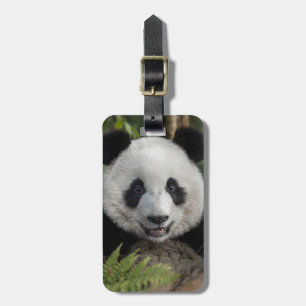 Etiqueta Para Maletas Feliz panda joven, China