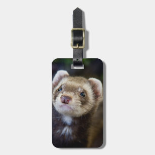 Etiqueta Para Maletas Ferret