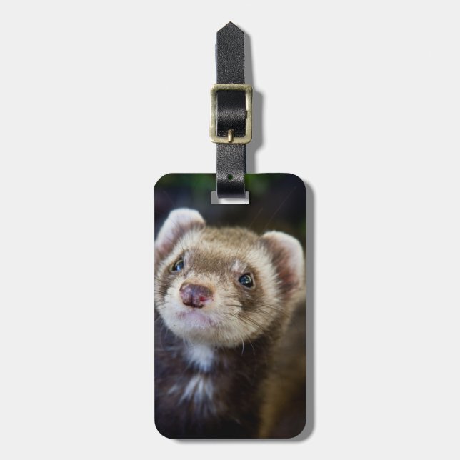 Etiqueta Para Maletas Ferret (Frente Vertical)