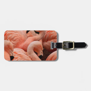 Etiqueta Para Maletas Flamencos rosados