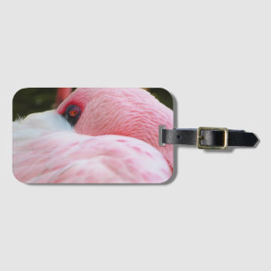 Etiqueta Para Maletas Flamingo