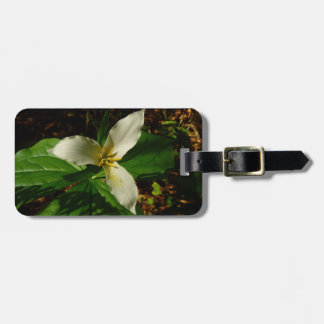 Etiqueta Para Maletas Flor de flores de trillio blanco