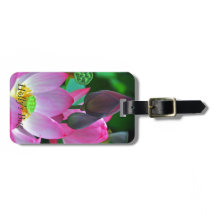 Flor de Loto Rosa