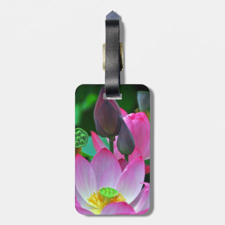 Etiqueta Para Maletas Flor de Loto Rosa