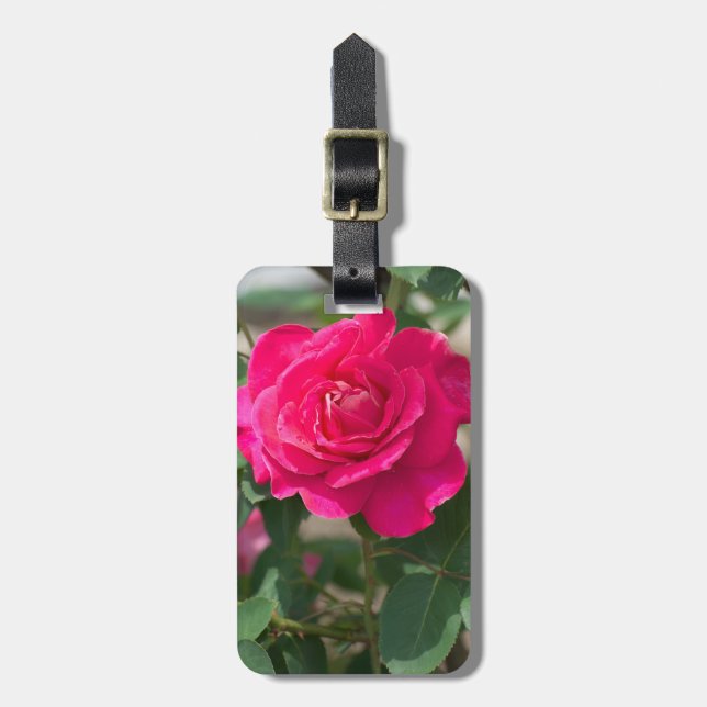 Etiqueta Para Maletas flor Rosa (Frente Vertical)