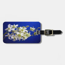 Flores blancas contra el cielo azul