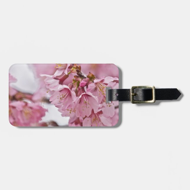 Etiqueta Para Maletas Flores de cerezo Sakura Rosa Pálido (Frente Horizontal)