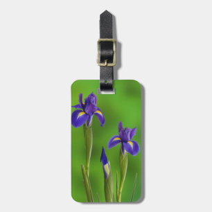 Etiqueta Para Maletas Flores de Iris