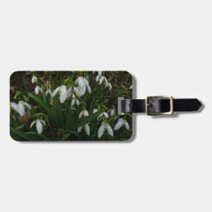 Etiqueta Para Maletas Flores de Primavera Blanca (Galanthus)
