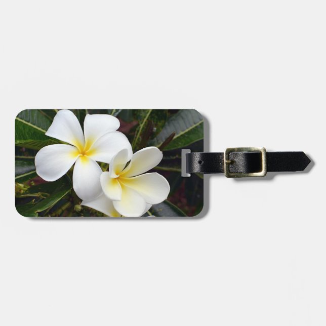 Etiqueta Para Maletas Flores tropicales Plumeria (Frente Horizontal)