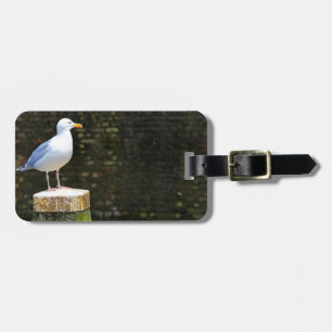 Etiqueta Para Maletas Foto de ave gaviota costera y vida silvestre del o
