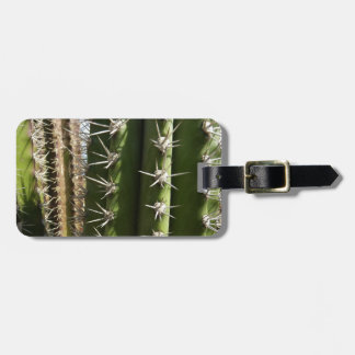 Etiqueta Para Maletas Foto de Cactus de Barril II Desierto