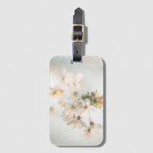 Foto de la naturaleza del cerezo en flor