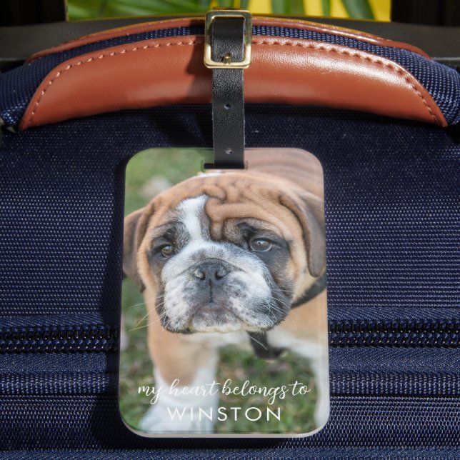 Etiqueta Para Maletas Foto de perro Mascota lindo personalizada (Anverso In situ 2)
