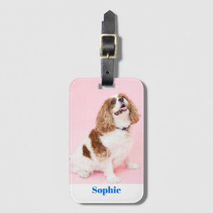 Etiqueta Para Maletas Foto de su perro o Mascota, nombre azul, Vs 2