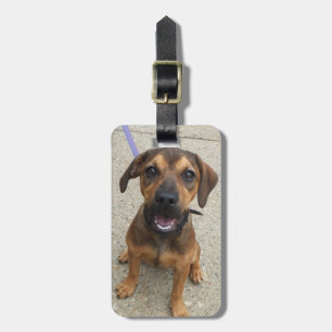 Etiqueta Para Maletas Foto del perro