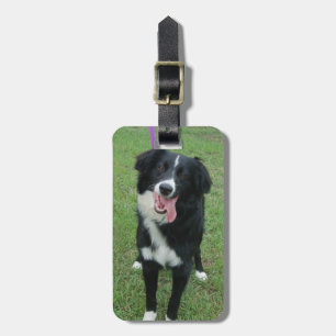 Etiqueta Para Maletas Foto del perro