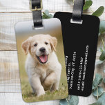 Etiqueta Para Maletas Foto personalizado Perro Perro Mascota Perro Perro<br><div class="desc">Embarque en sus viajes con un toque de personalidad y un toque de fantasía con nuestra etiqueta moderna para el equipaje fotográfico diseñada especialmente para los amantes del perro. Ya sea que se vaya de viaje de negocios o de vacaciones, esta etiqueta de equipaje garantiza que sus pertenencias sean identificables...</div>