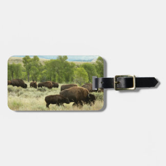Etiqueta Para Maletas Fotografía de animales de la naturaleza de Wyoming
