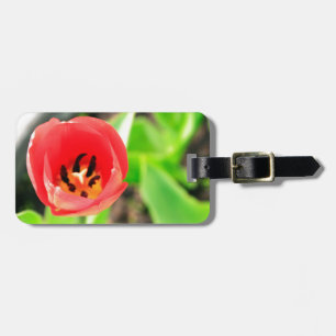 Etiqueta Para Maletas Fotografía de Flor de Tulipán Rojo