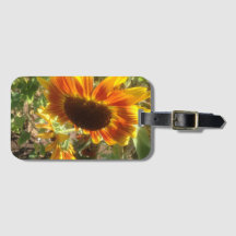 Fotografía de girasol amarillo y naranja