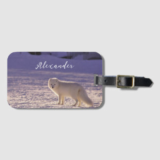 Etiqueta Para Maletas Fotografía de invierno de la nieve de Fox blanca