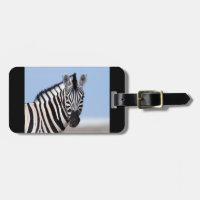 Fotografía de la fauna de cebra animal Africa Safa