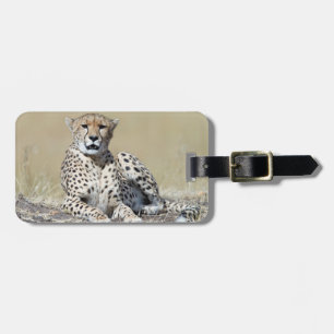 Etiqueta Para Maletas Fotografía de la fauna salvaje de Cheetah Animal d