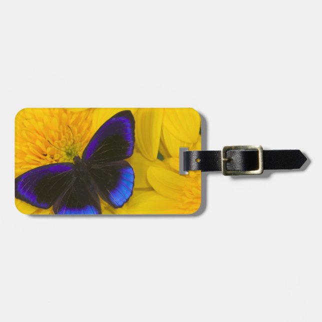 Etiqueta Para Maletas Fotografía de mariposa (Frente Horizontal)