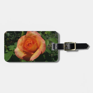 Etiqueta Para Maletas Fotografía de Peach Rosa Naranja Floral