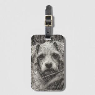 Etiqueta Para Maletas Fotografía de retrato blanco y negro de cachorro s