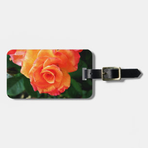 Etiqueta Para Maletas Fotografía de rosa naranja vibrante