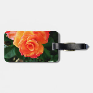 Etiqueta Para Maletas Fotografía de rosa naranja vibrante
