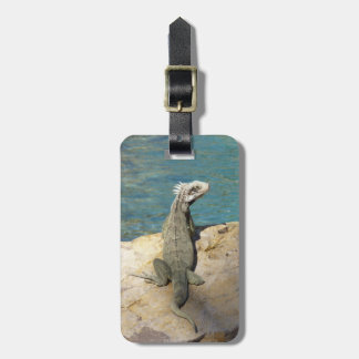 Etiqueta Para Maletas Fotografía de vida salvaje tropical de Iguana en S