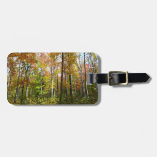 Etiqueta Para Maletas Fotografía paisajística de otoño en el bosque otoñ