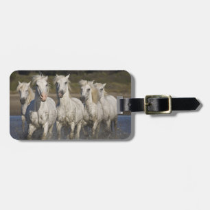 Etiqueta Para Maletas Francia, Camarga. Huida de caballos