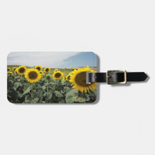 Etiqueta Para Maletas Francia Provenza, vista de campo de girasoles