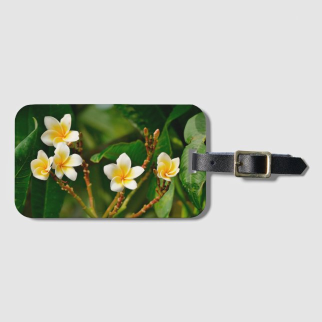 Etiqueta Para Maletas Frangipani amarillo (Anverso horizontal)