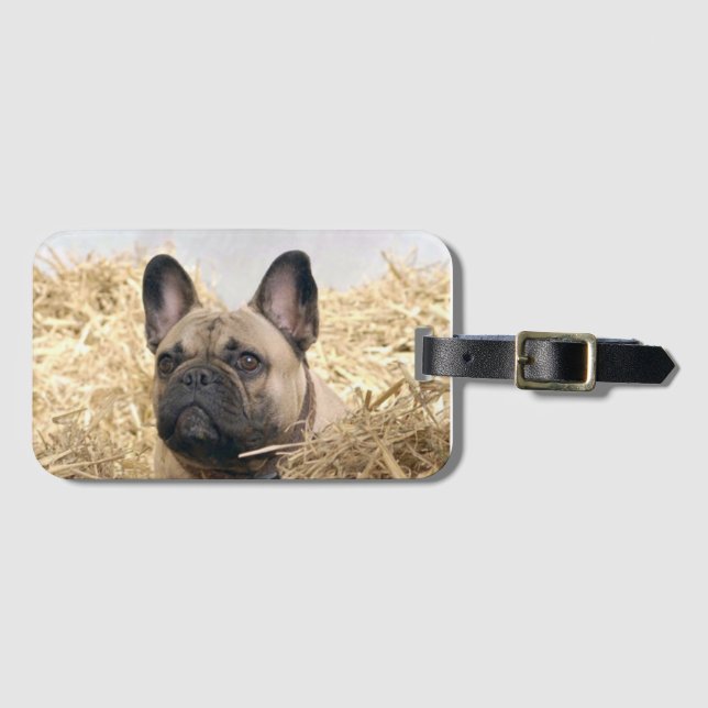 Etiqueta Para Maletas Französische Bulldogge im Stroh French Bulldog  (Anverso horizontal)